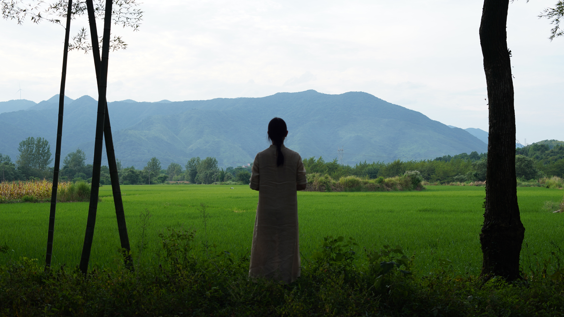Žena stojí sama zády ke kameře a kouká do dálky na rýžové pole a kopce. / A woman stands alone with her back to the camera, looking into the distance at a green rice field and hills.